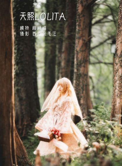 成人韩国视频手机在线播放_剧情片在线视频观看
